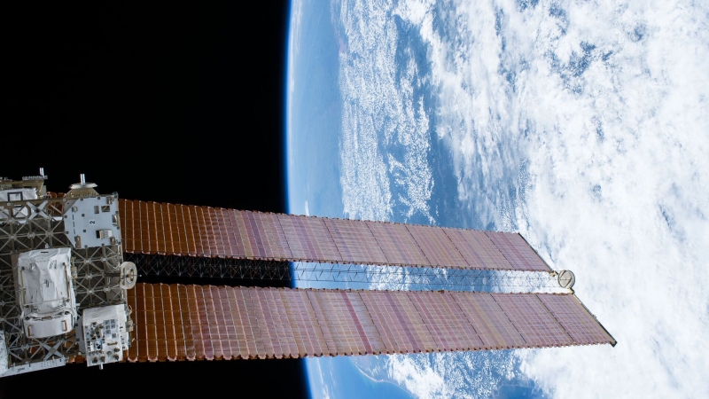 Земные бактерии устойчивы к космической радиации, выяснили ученые