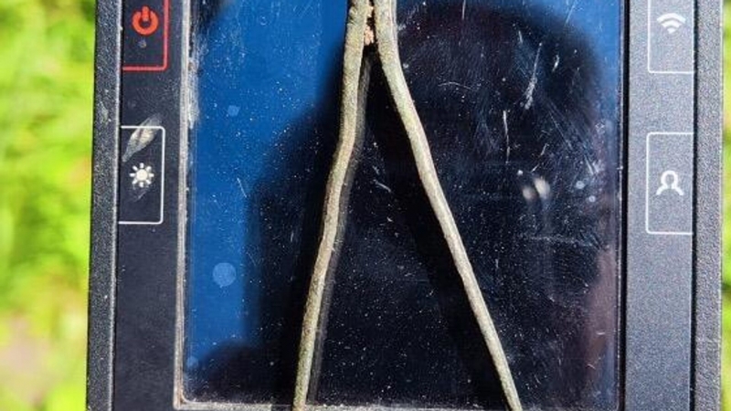 В Польше нашли компас Николая Коперника