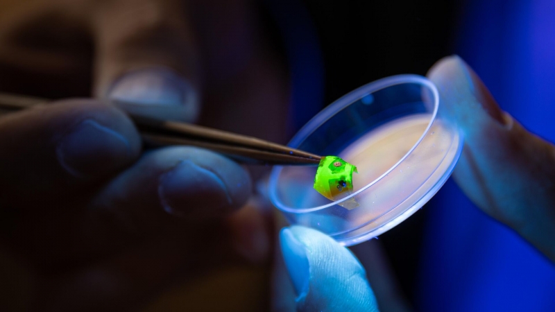 В России решили проблему неточных измерений на предприятиях