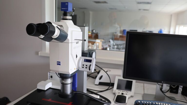 Ученые нашли способ датировать артефакты с помощью угля