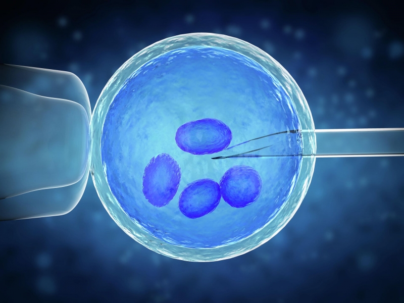 Татьяна Черниговская: человек может перестать быть "царем природы"