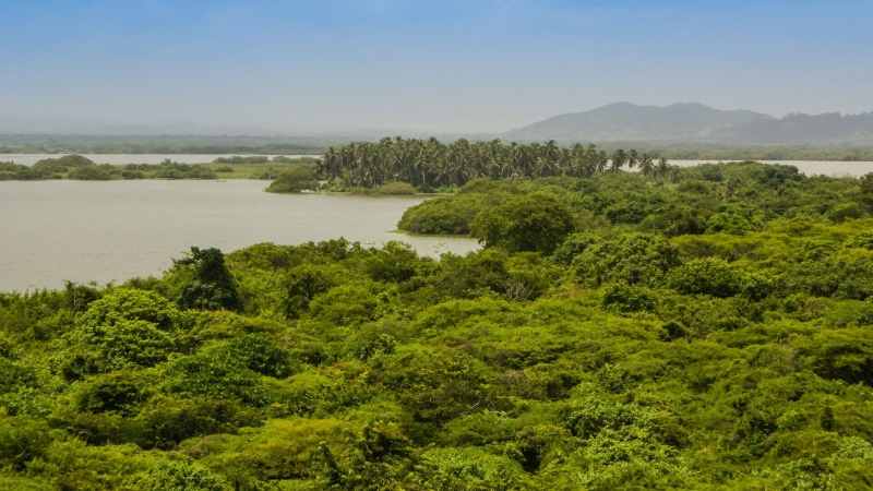 Космонавт рассказал, как меняется Южная Америка