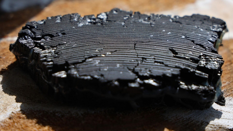 В Крыму отметили столетие открытия стоянки неандертальцев Киик-Коба