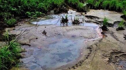 Ученые рассказали, как сточные воды провоцируют выброс метана