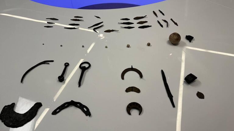 Губернатор рассказал, что будет с тысячами артефактов Судбищенской битвы