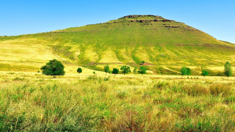 В России создали шкалу "здоровья почв" при загрязнении свинцом