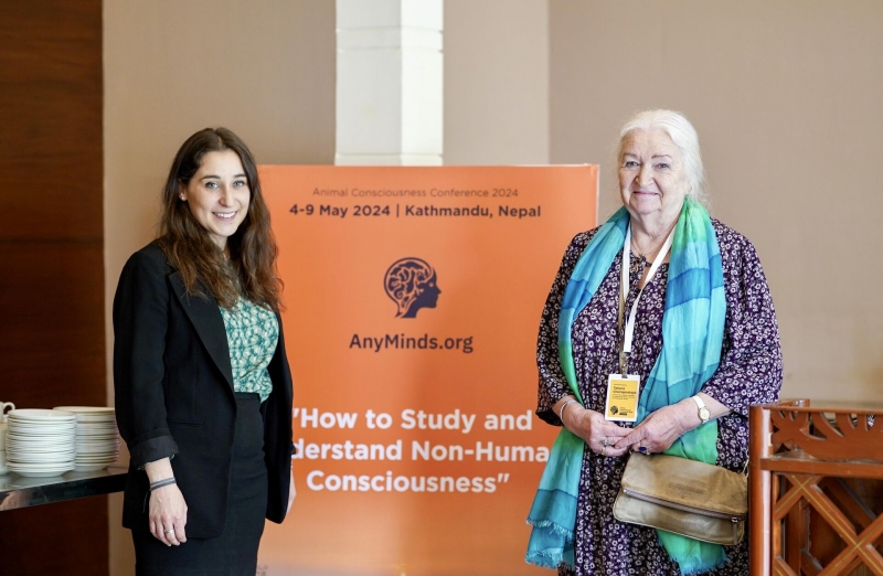 Татьяна Черниговская: человек может перестать быть "царем природы"