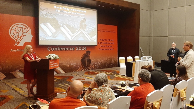 Татьяна Черниговская: человек может перестать быть "царем природы"