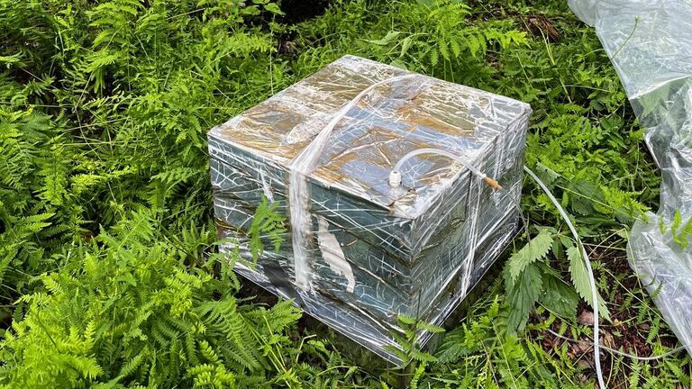 Ученые рассказали, как сточные воды провоцируют выброс метана