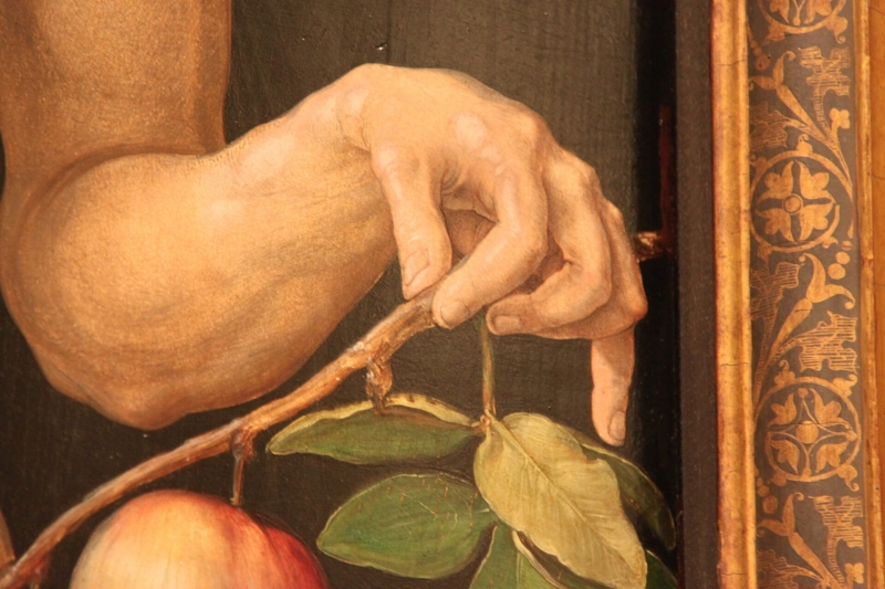 Татьяна Черниговская: человек может перестать быть "царем природы"