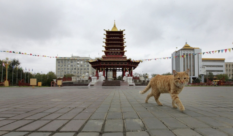 Татьяна Черниговская: человек может перестать быть "царем природы"
