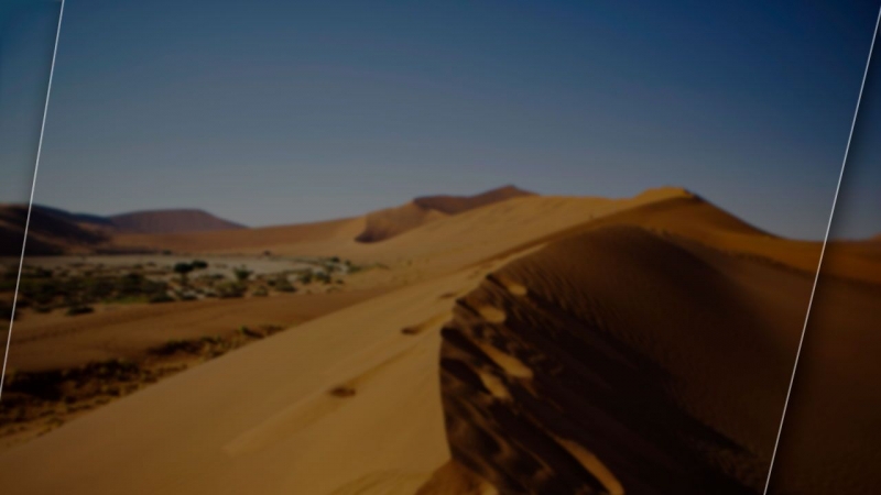 Конюхов проведет конную экспедицию в Приморье