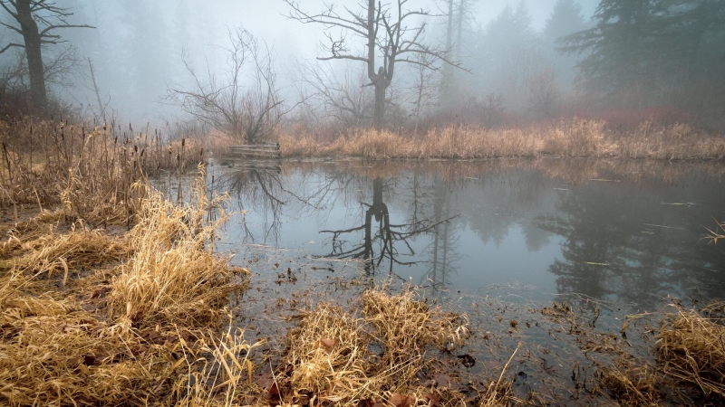 Ученые рассказали, как сточные воды провоцируют выброс метана