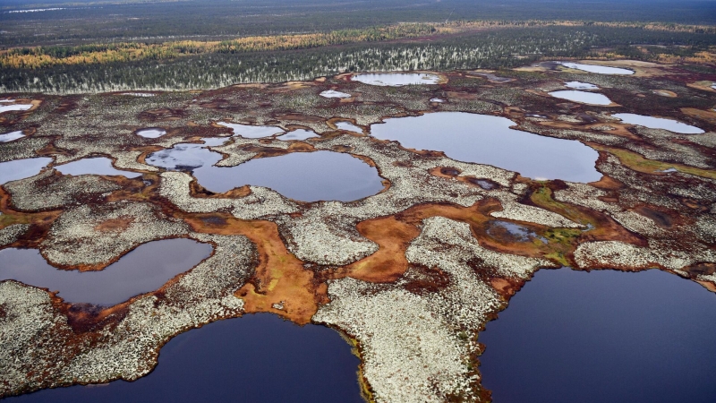 В России нашли способ разлагать токсичные отходы с помощью обычной лампочки