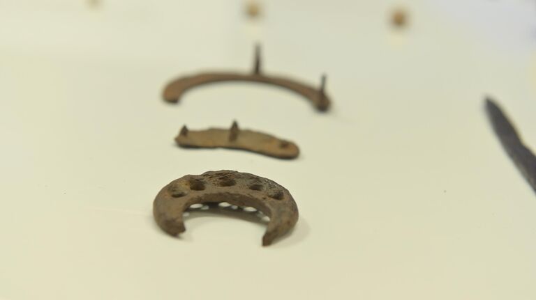 Великая огнестрельная революция XVI века. Ученые раскрывают тайны Судбищ