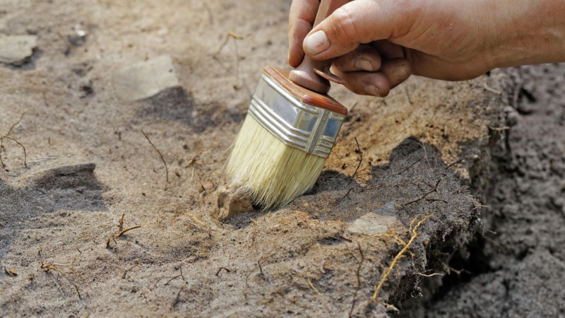 В Китае обнаружили гробницу возрастом около пяти тысяч лет