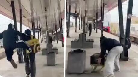 В Госдуме попросили проверить инцидент с нападением подростков на курьера