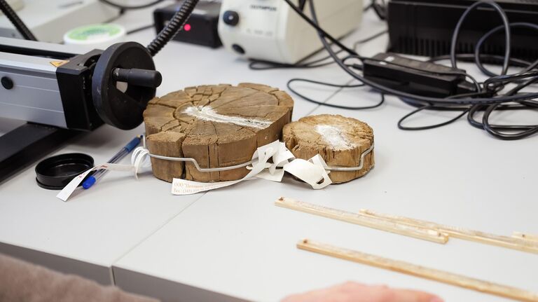 Названа точная дата самого мощного извержения вулкана за десять тысяч лет