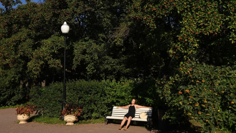 На Земле началась сильная магнитная буря вопреки прогнозам ученых