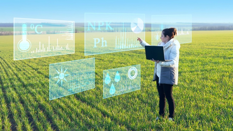 Российские ученые нашли гены живучести пшеницы и сои