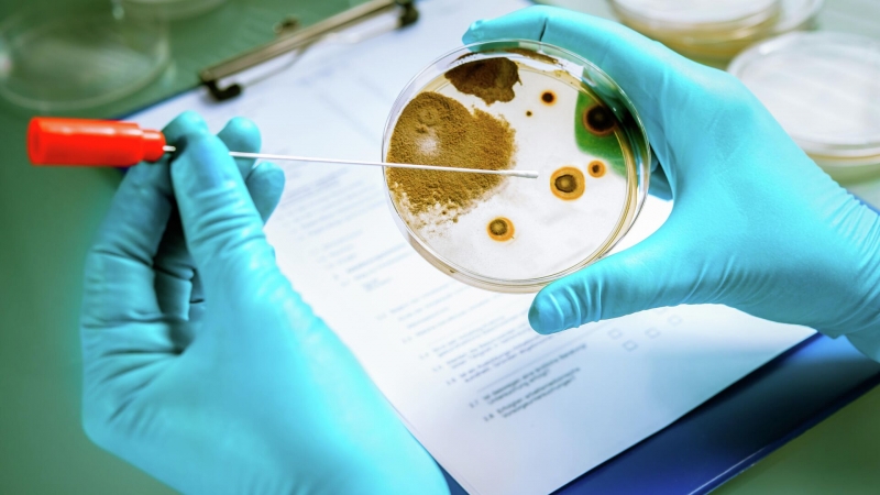 В России создали перспективный способ получения отечественных лекарств