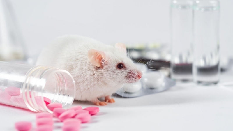 Ученые "увидели" депрессию на МРТ