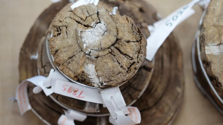 Названа точная дата самого мощного извержения вулкана за десять тысяч лет