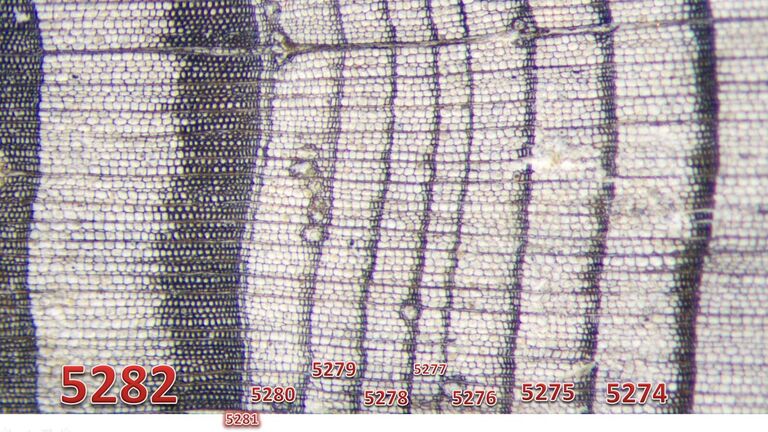 Названа точная дата самого мощного извержения вулкана за десять тысяч лет