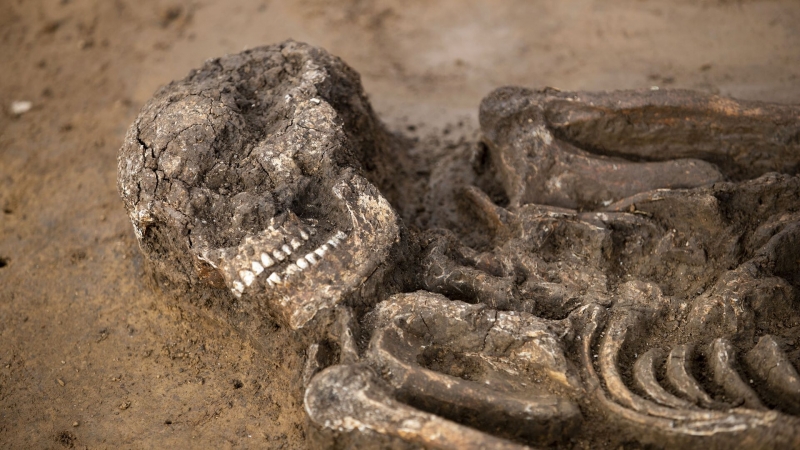 "Это изменило планету". Ученые узнали, кто устроил "нулевую мировую войну"