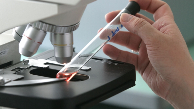 Китайские ученые обнаружили 162 тысячи новых видов вирусов