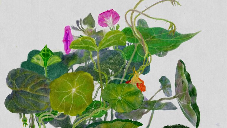 Обзор HUAWEI MatePad 12 X: планшет для профессиональных творцов