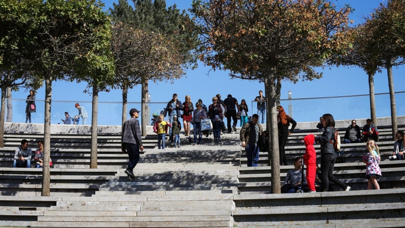 На Кубани внедрят российские ИИ-технологии для развития "умных" городов