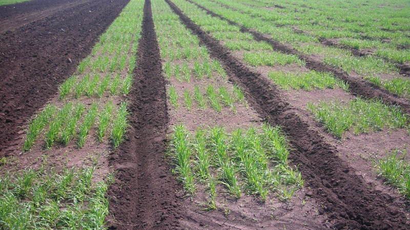 В России предложили новый способ извлечения золота из отходов