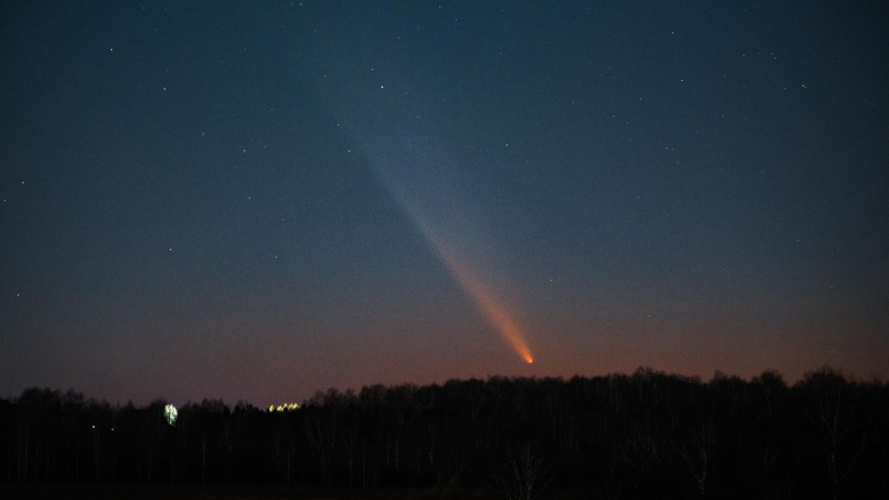 Астроном рассказала, когда жители северного полушария увидят в небе комету