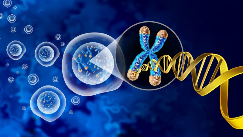 "Чаще болеем — быстрее стареем". Молодым ученым раскрыли правду о старости