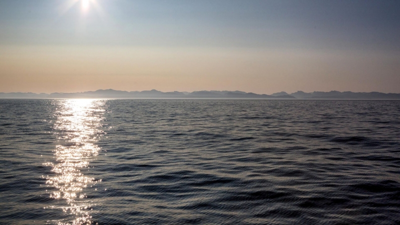 "Впереди хаос". Десятки ученых предупредили Европу о неминуемом катаклизме