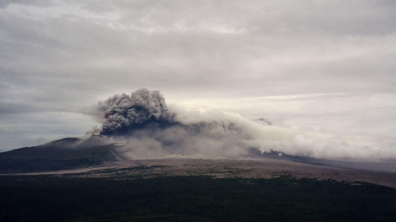 На Камчатке вулкан Шивелуч произвел третий выброс пепла за сутки