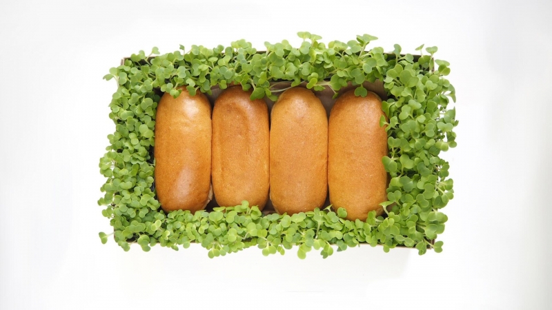 Ученые создали хлеб для больных диабетом