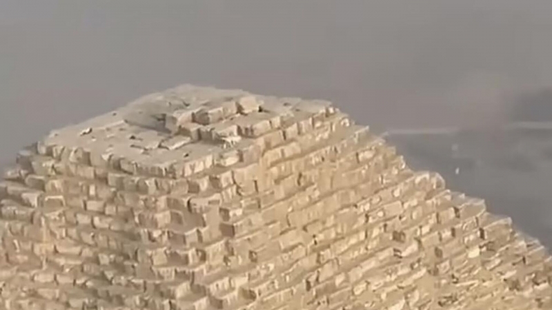 Ученые выявили три типа хозяев собак в зависимости от отношения к питомцу