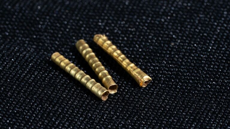 В России нашли уникальный клад золотых украшений