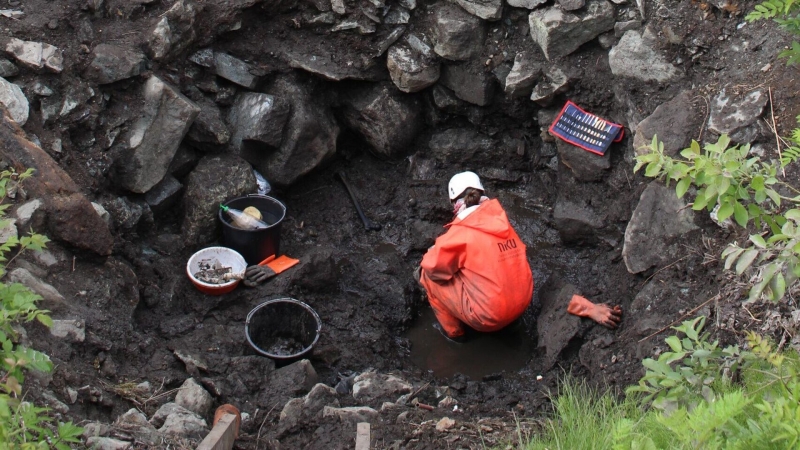 В Перу представили найденный скелет ископаемого крокодила