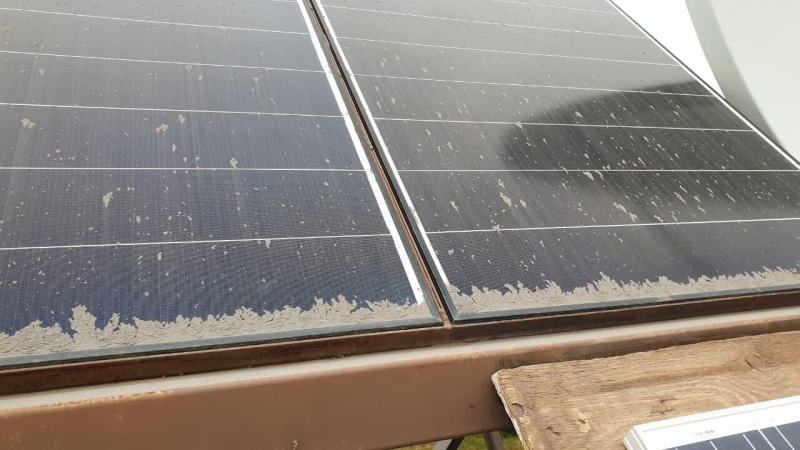 Вулкан Шивелуч на Камчатке выбросил столб пепла и засыпал им поселок