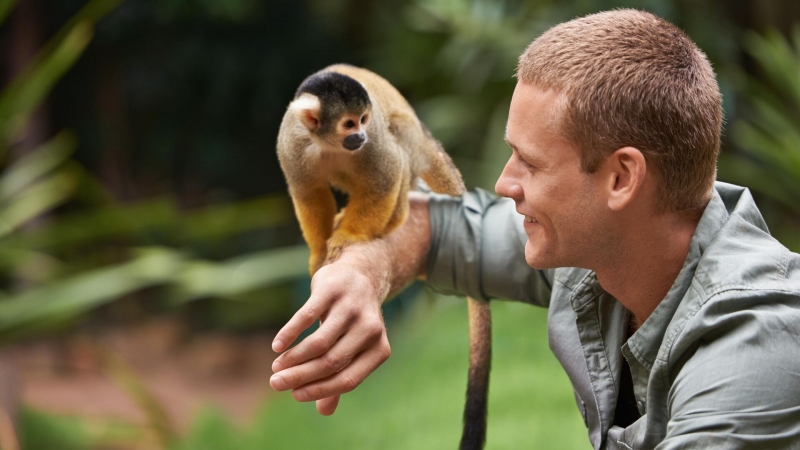 Ученые приблизились к пониманию работы ритмов мозга