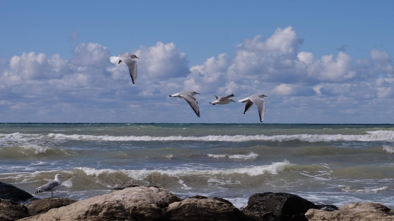 Российские ученые начнут отслеживать углеродный цикл в Каспийском море