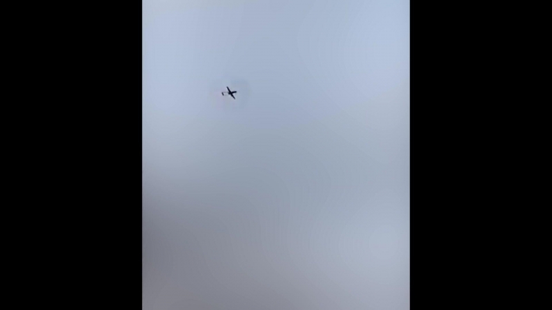 Кнайсль назвала цели дронов ВСУ в Подмосковье