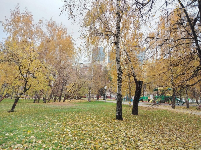 Обзор смартфона HONOR X7c: симпатично, недорого и прочно