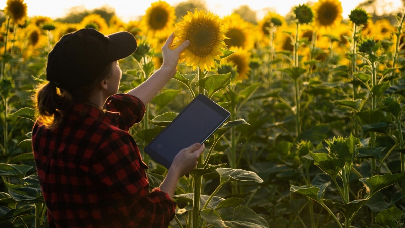 Ученые создали хлеб для больных диабетом