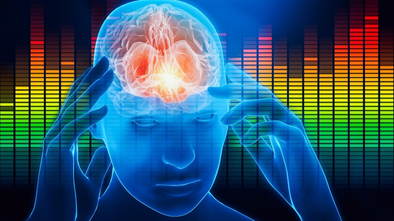 Ученые приблизились к пониманию работы ритмов мозга