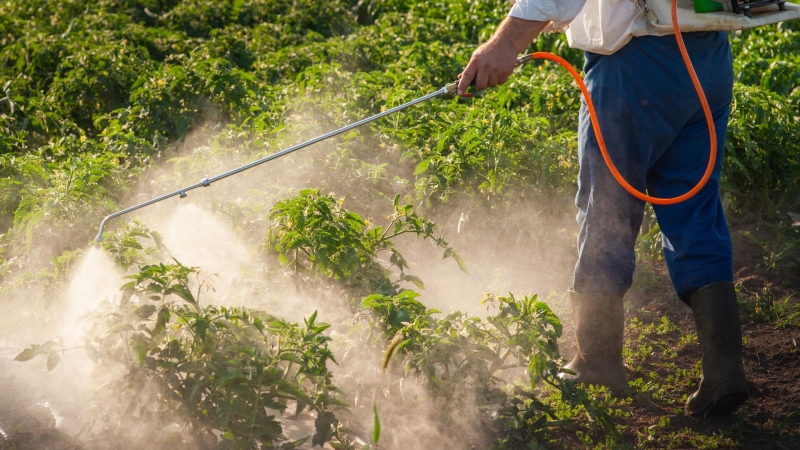В России создали сверхчувствительный сенсор для поиска пестицидов в пище