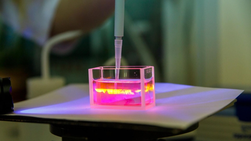 В России создали вещества-хамелеоны для медицины